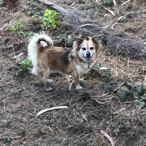 Meet your Posher, Max